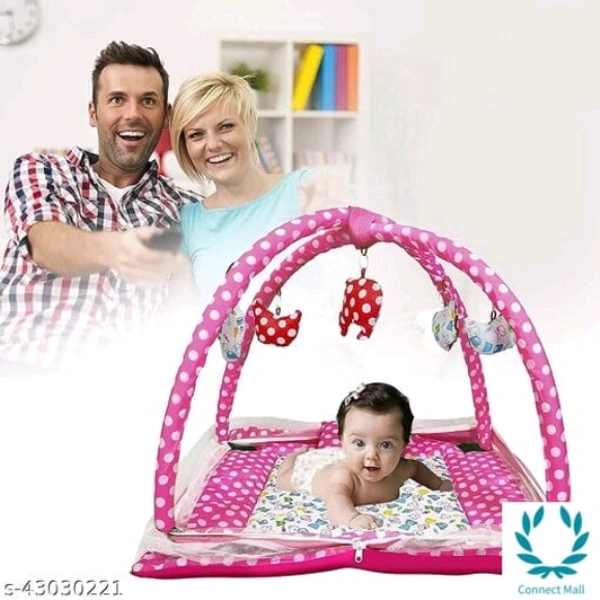 Allure Baby Play Gym with Mosquito Net 